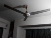 Elite ceiling fan